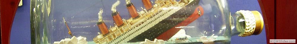 5 5